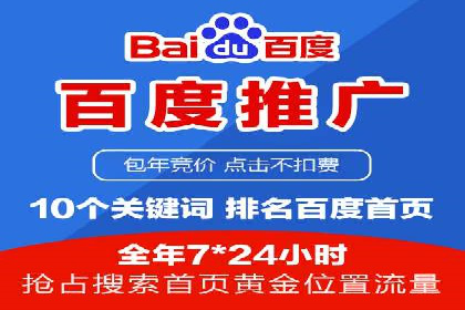 百度竞价代理技巧：经典成功案例解析